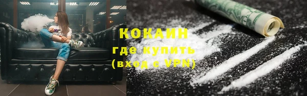 круглые Гусев