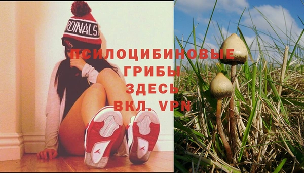 круглые Гусев