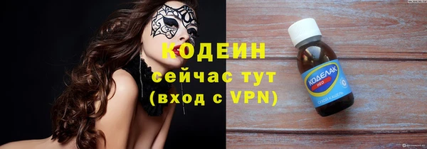 круглые Гусев