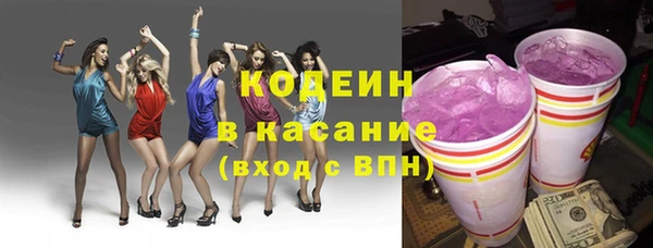 круглые Гусев