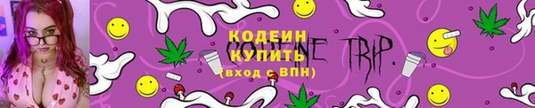 круглые Гусев
