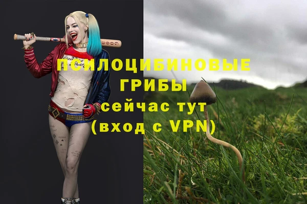 гашиш Гусиноозёрск