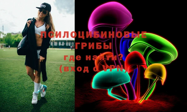 спиды Бердск