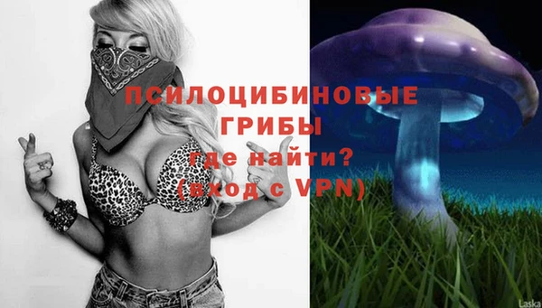круглые Гусев