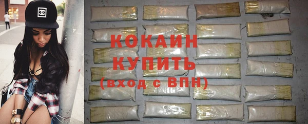 круглые Гусев