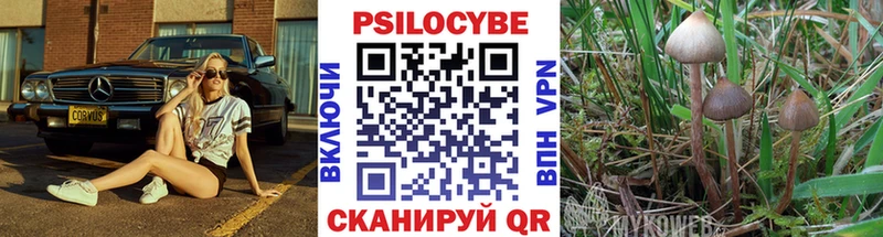 где можно купить наркотик  Духовщина  Галлюциногенные грибы Psilocybine cubensis 